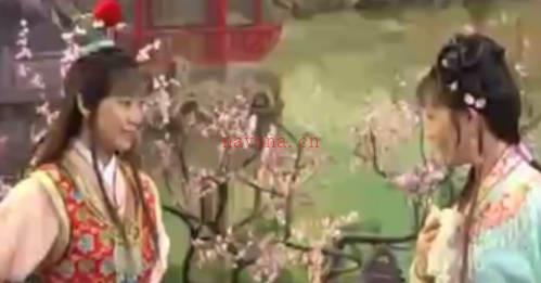 越剧《红楼梦》选段:读西厢-徐王.MP4视频下载