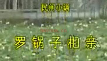 民间小调《傻秃子找老婆》上集.荆献顺 娄娟MP4视频下载