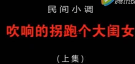涡河憨腔《吹响的拐跑个大闺女》上集. 丁延果MP4视频下载