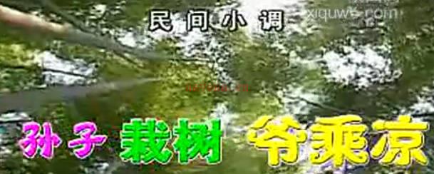 涡河憨腔《孙子栽树爷乘凉》上集. 丁延果MP4视频下载