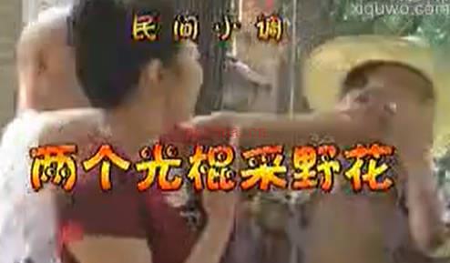 民间小调《两个光棍采野花》上集.荆献顺  孟献礼MP4视频下载