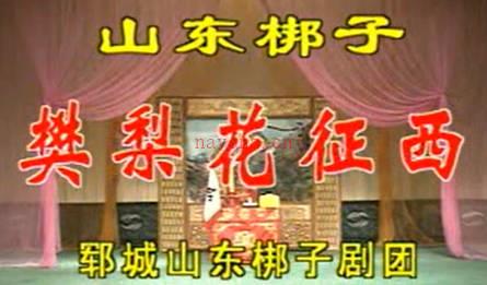 山东梆子《樊梨花征西》下集.郓城山东梆子剧团.陈凤英 吕端勇 祝凤晨MP4视频下载