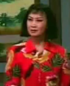 蒲剧《山乡辣嫂》选段-景雪变MP4视频下载