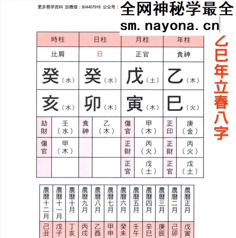 2025年麦玲玲蛇年运程.pdf 454页