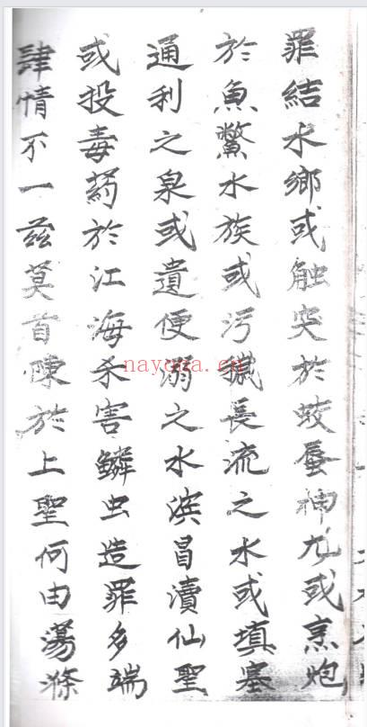 《万灵三界灯科》42页.PDF电子版