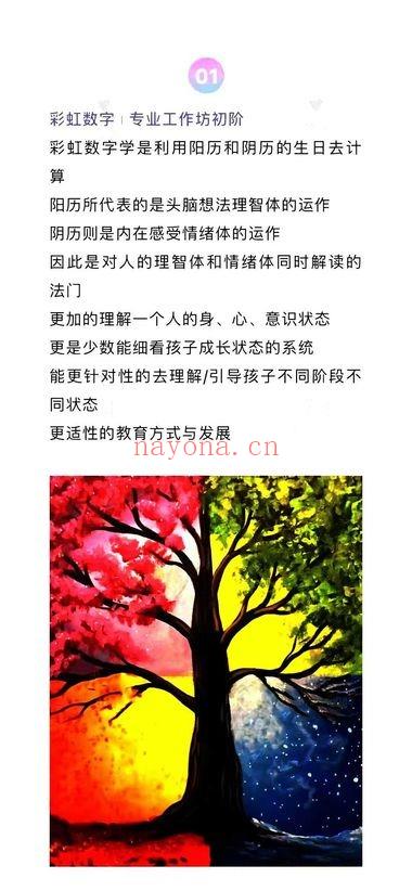 Wen Liu《彩虹数字学三阶段专业课》初中高三套视频课