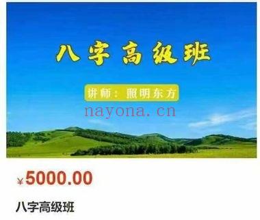 照明东方《八字高级班》视频课12集