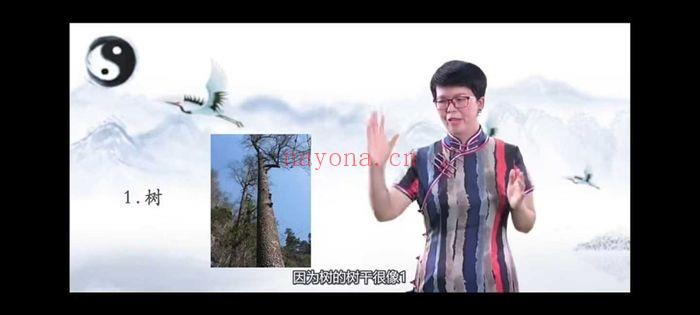 《易缘·周易与记忆》 3分钟记忆八卦，2小时记完周易 11集视频