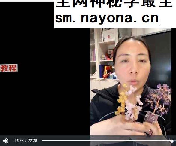 陈安逸水晶高阶课视频27集