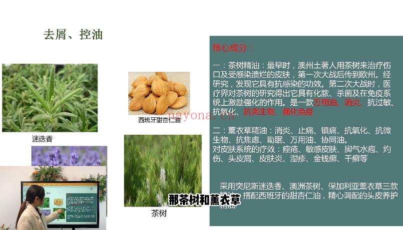 《芳香疗愈精油调配秘训班》视频课74集