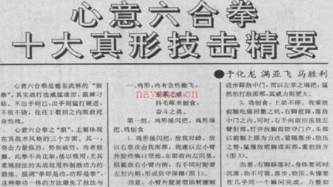 《心意六合拳十大真形技击精要》于化龙、满亚飞、马胜利PDF打包下载