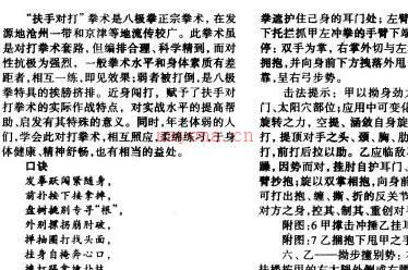 《八极拳法之扶手对打拳术》郭维民PDF打包下载