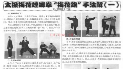 《太极梅花螳螂拳“梅花路”手法解》柳国顺、于斌PDF打包下载