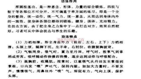 《峨眉拳古传功法》董如军PDF打包下载
