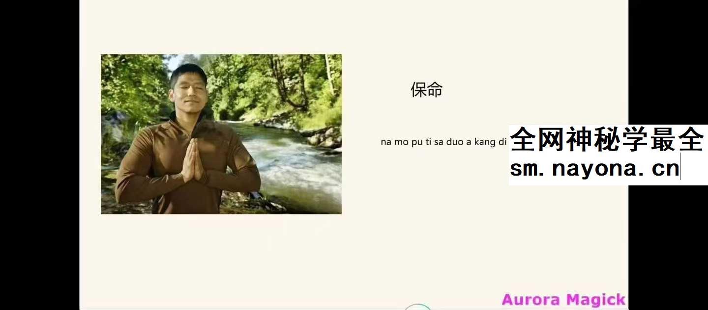 龙龙灵性防护11集视频