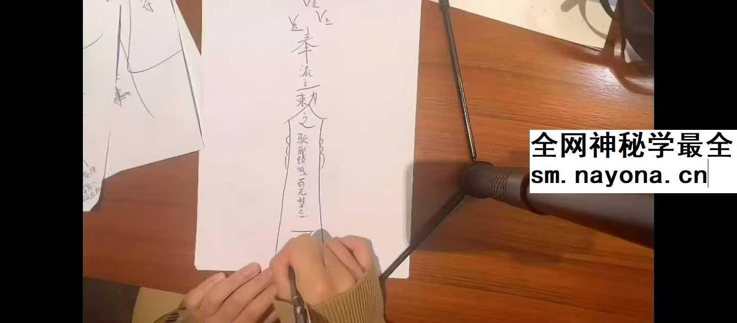 龙龙灵性防护11集视频
