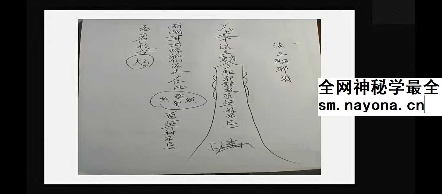 龙龙灵性防护11集视频