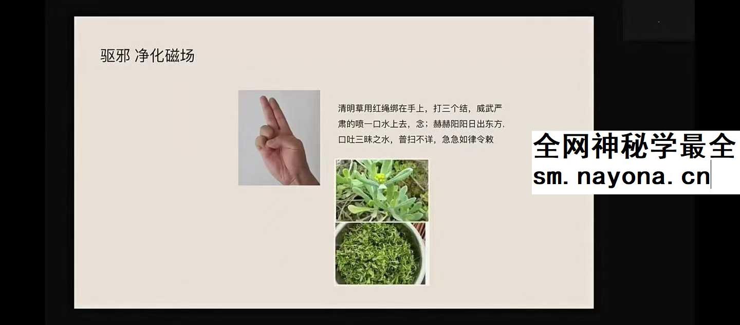 龙龙灵性防护11集视频