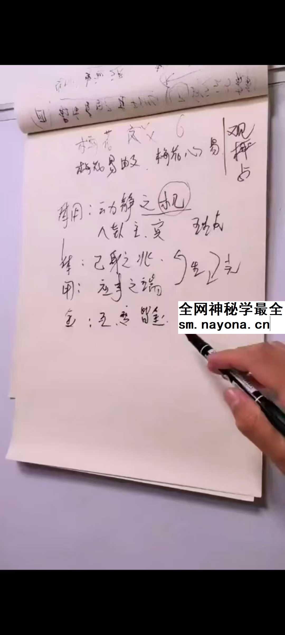 三奇老师《梅花六爻》15集