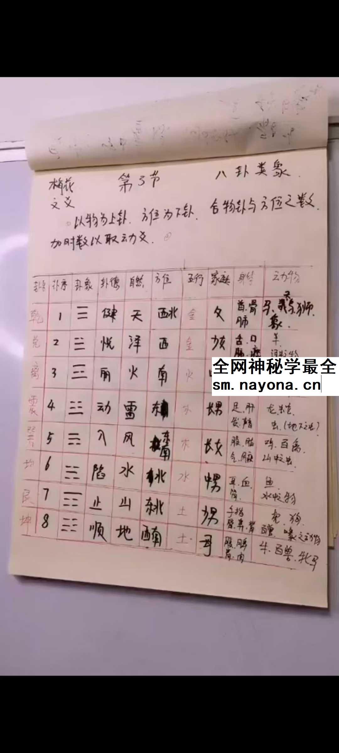 三奇老师《梅花六爻》15集