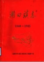 《湖田镇志 1840-1985》_淄博市张店区湖田镇志编纂小组_