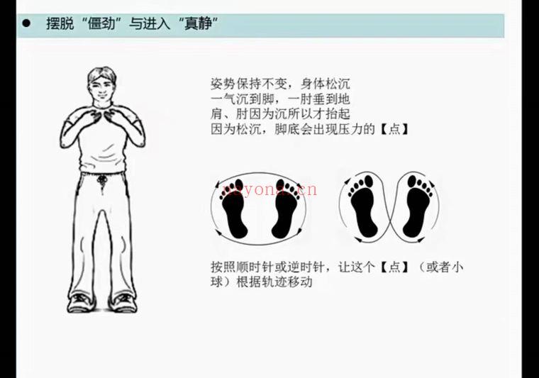 守一哥《太极混元桩》内劲教学视频5集