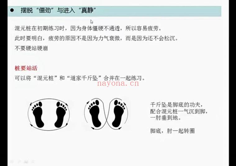 守一哥《太极混元桩》内劲教学视频5集