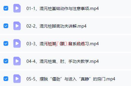守一哥《太极混元桩》内劲教学视频5集
