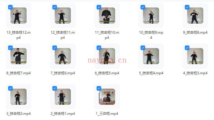 高臣老师《神州意拳技击桩法秘鉴》视频13集