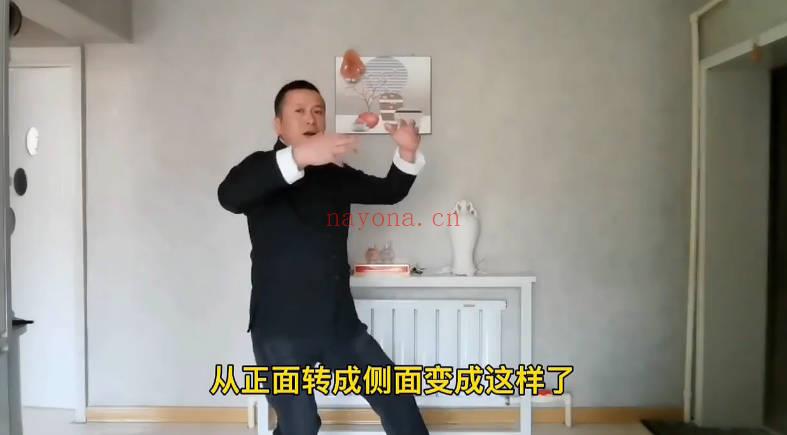 高臣老师《神州意拳技击桩法秘鉴》视频13集