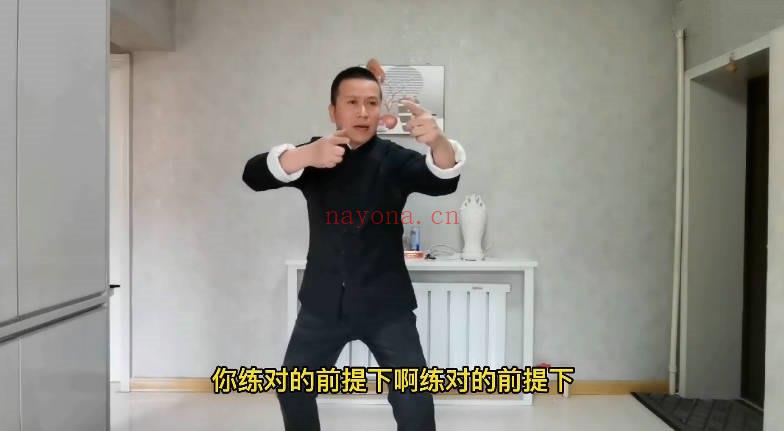 高臣老师《神州意拳技击桩法秘鉴》视频13集