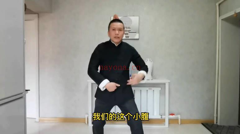 高臣老师《神州意拳技击桩法秘鉴》视频13集