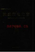 武威市电力志