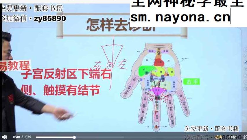 张仲行—季氏手诊视频58集