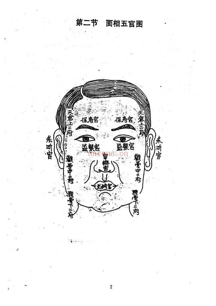 《手面相绝招大公开》9