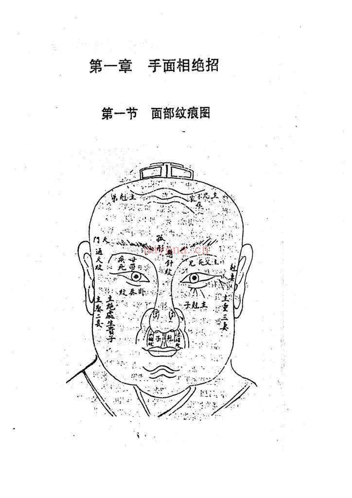 《手面相绝招大公开》9