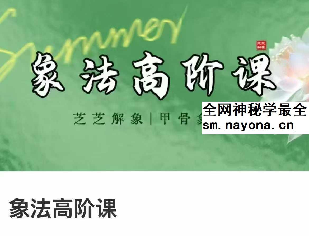 芝芝象法高阶课8集视频