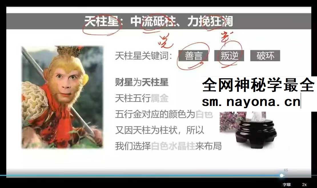 2025年 金亮《奇门遁甲流年财局》11集视频
