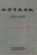 六安市新闻志 2009