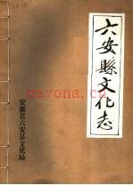 六安县文化志 安徽省六安县文化局编