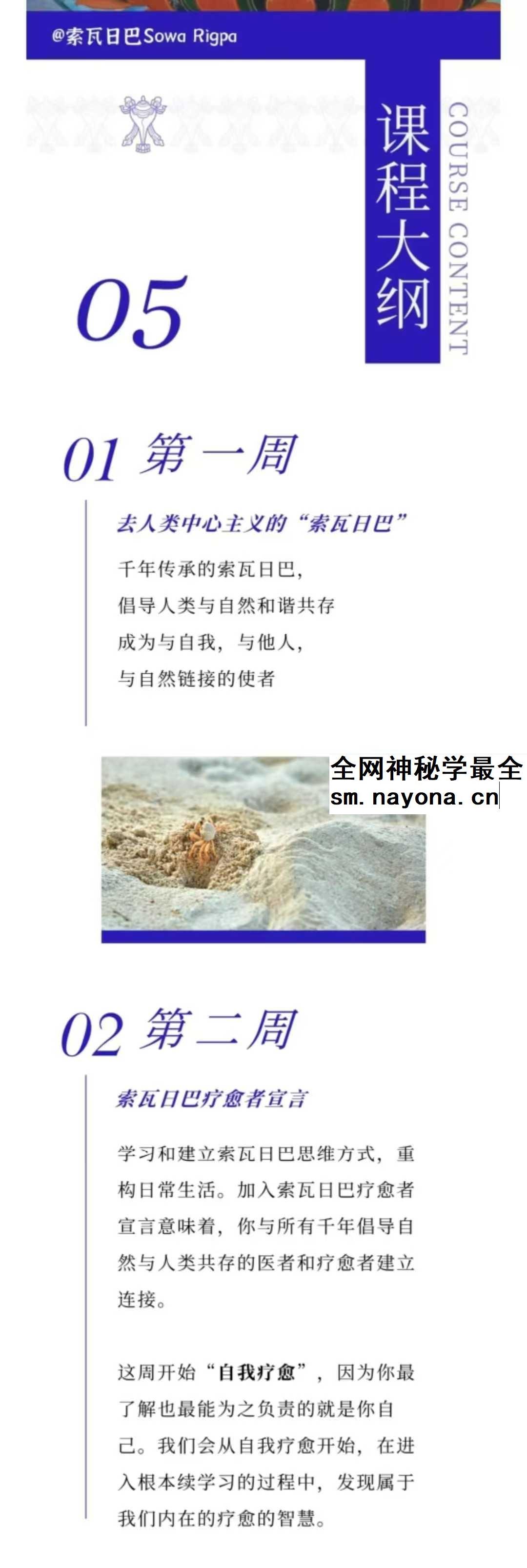 索瓦日巴Sowa Rigpa【藏医能量医学】50集
