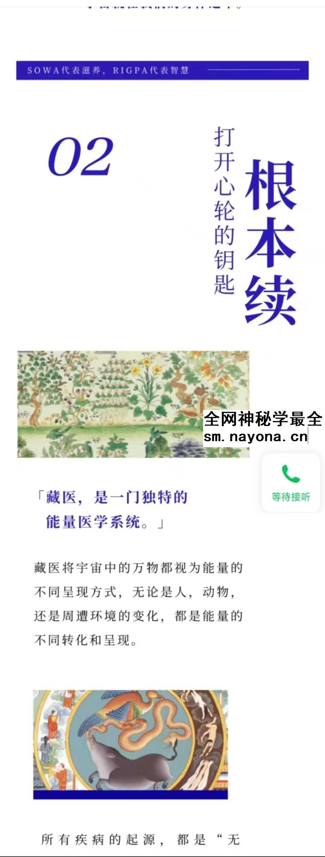索瓦日巴Sowa Rigpa【藏医能量医学】50集