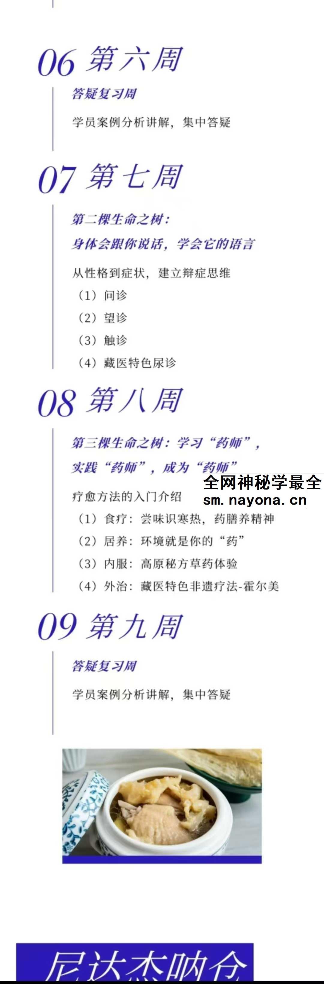 索瓦日巴Sowa Rigpa【藏医能量医学】50集