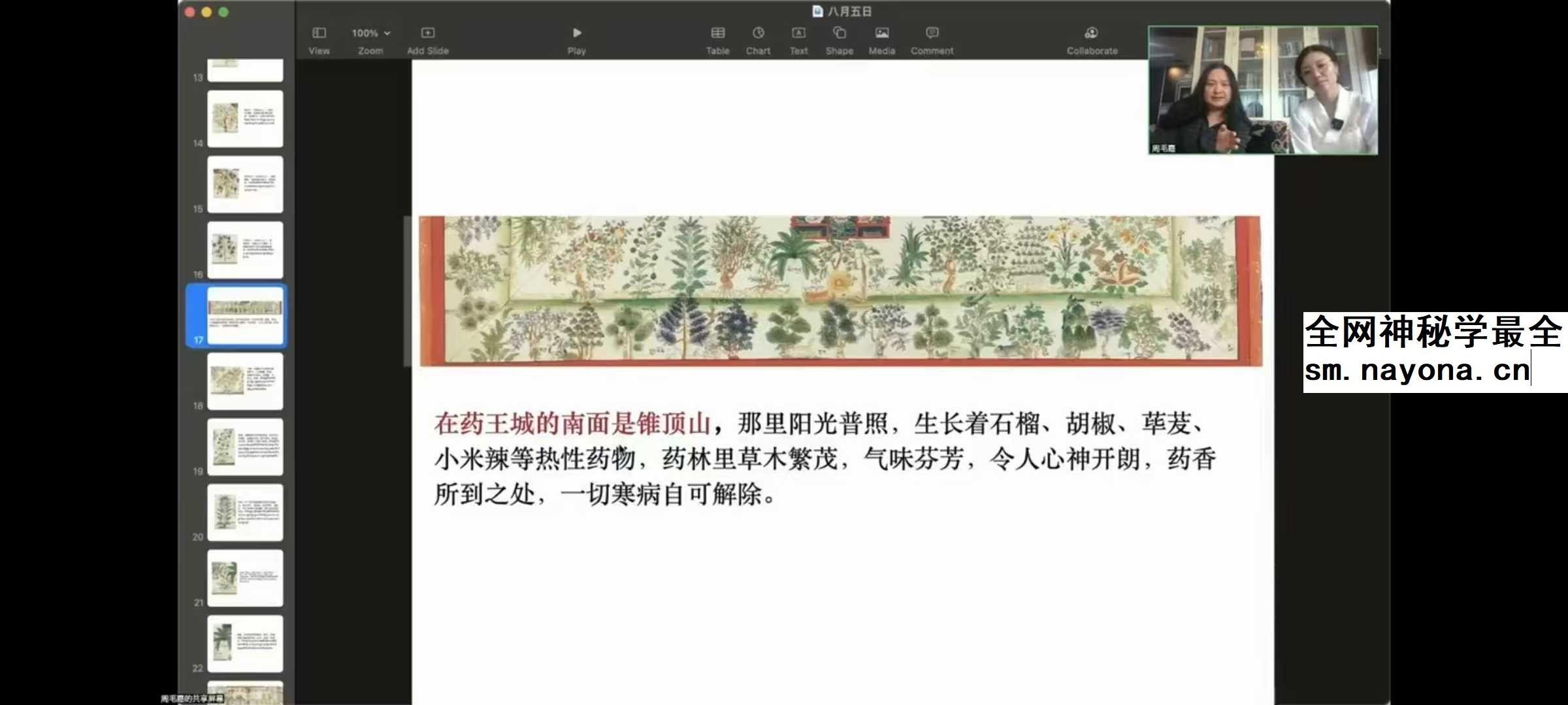 索瓦日巴Sowa Rigpa【藏医能量医学】50集