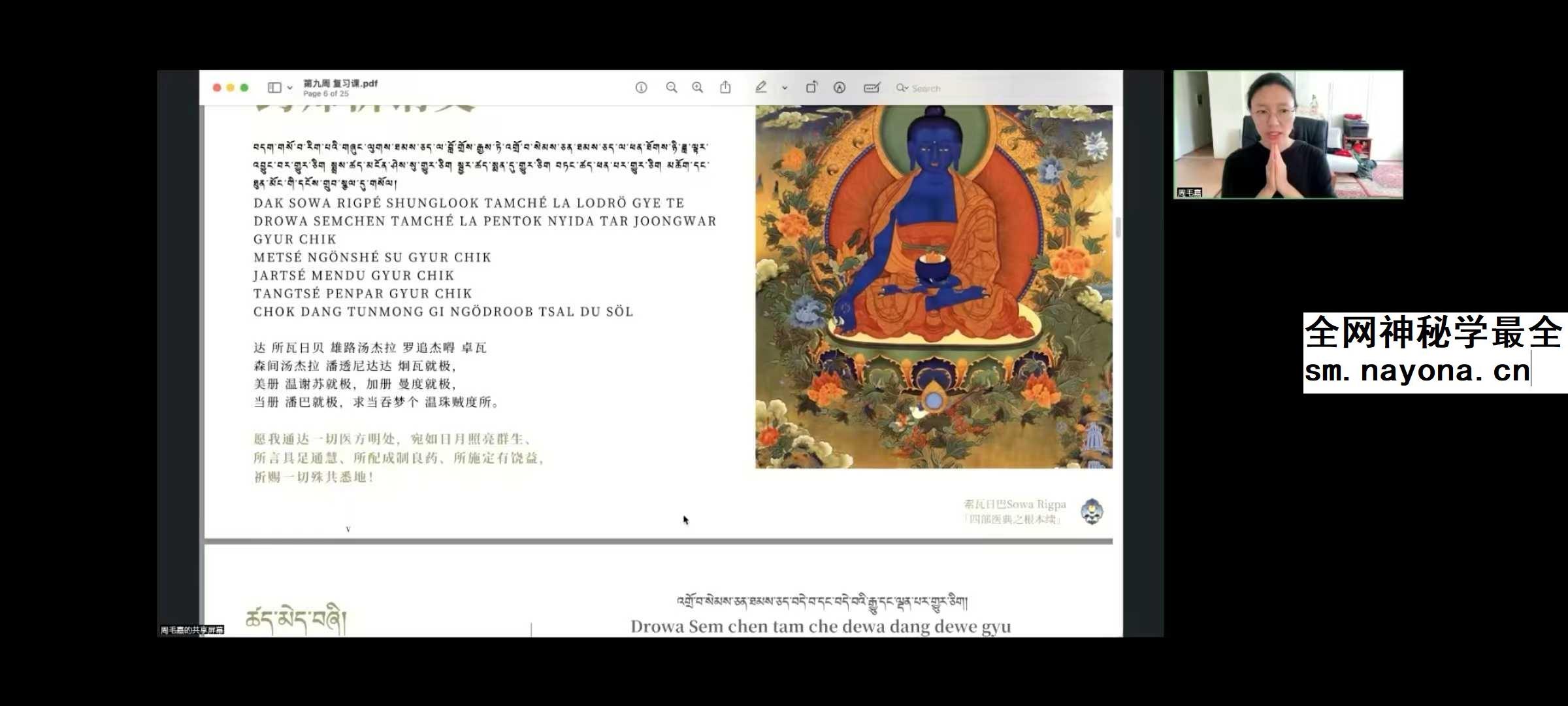 索瓦日巴Sowa Rigpa【藏医能量医学】50集