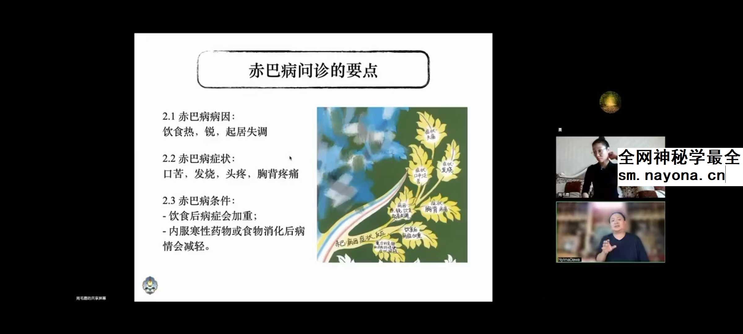 索瓦日巴Sowa Rigpa【藏医能量医学】50集