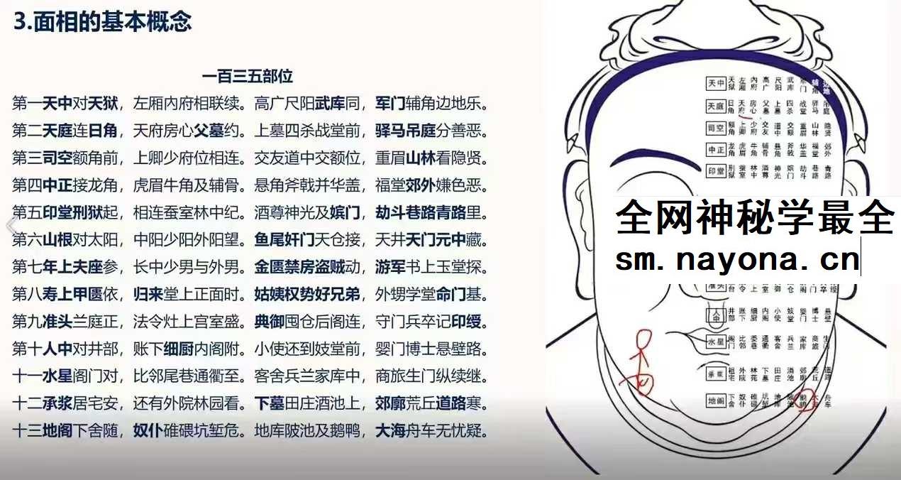照明居士 识人术高级班28集