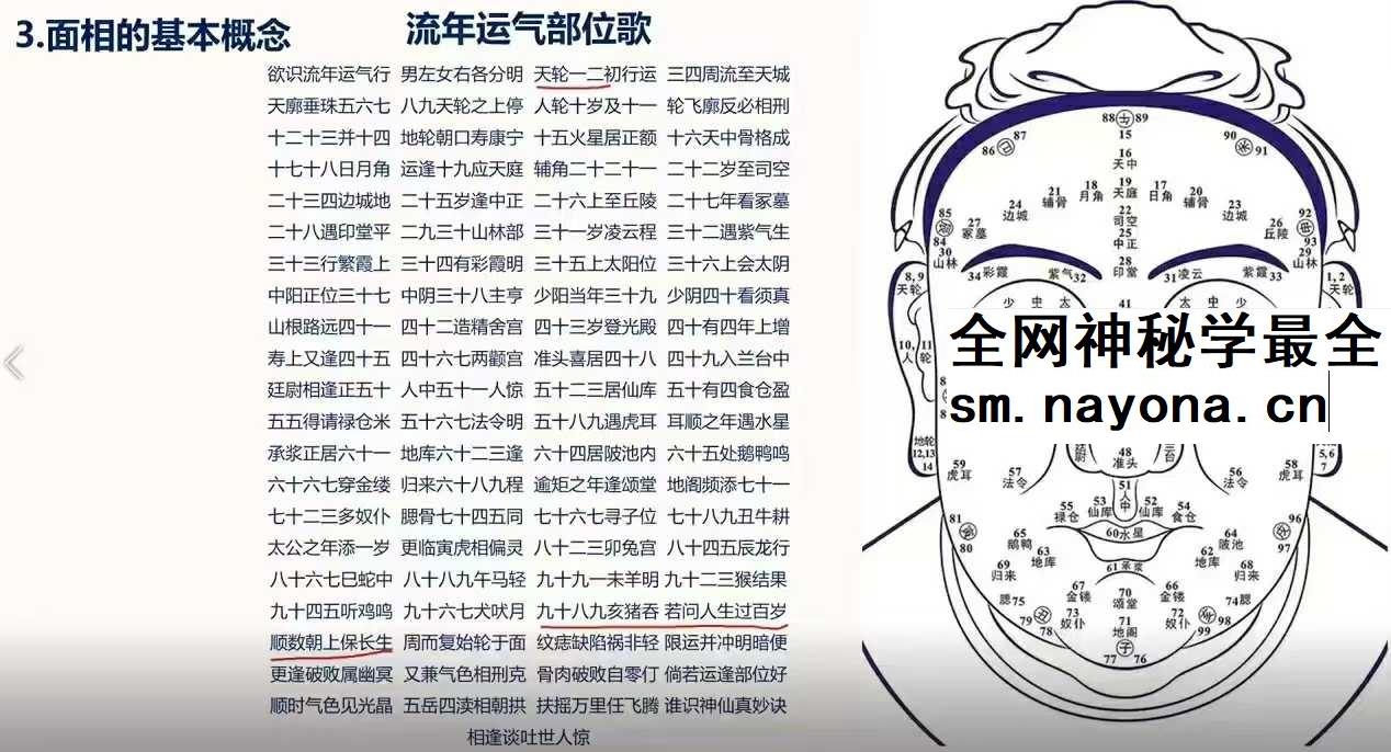 照明居士 识人术高级班28集