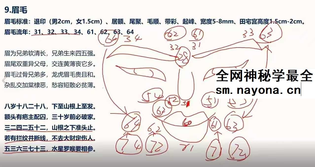 照明居士 识人术高级班28集