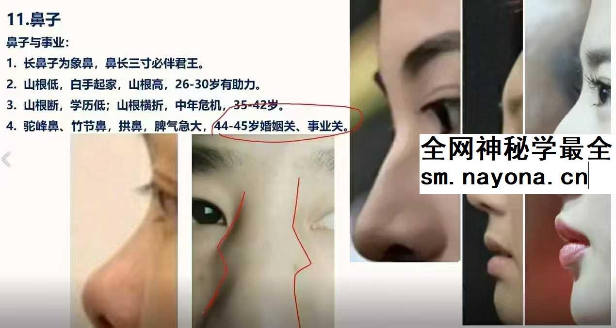 照明居士 识人术高级班28集